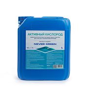 NeverGreen NG-176 Активный кислород, 5л, канистра, жидкое бесхлорное высокоэффективное средство для очистки и обеззара